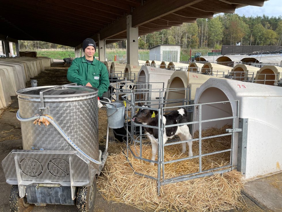 Tierwirt Fachrichtung Rinderhaltung (m/w/d) | WiYou.de