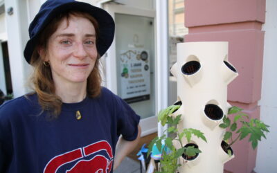 Kletterkraut: Selbstversorgung made in Mühlhausen