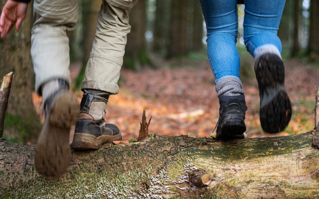 Wendeblatt Jugendhilfe: Rausgehen, um anzukommen