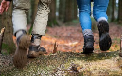 Wendeblatt Jugendhilfe: Rausgehen, um anzukommen